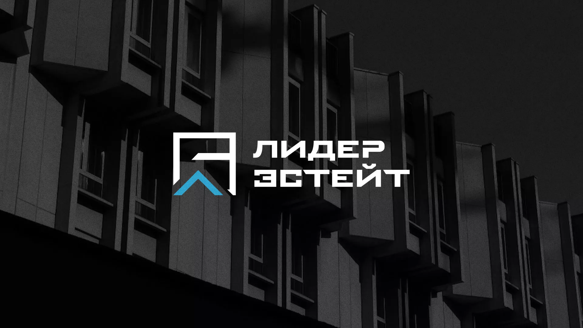 Разработка логотипа агентства недвижимости «Лидер Эстейт» в Кирове