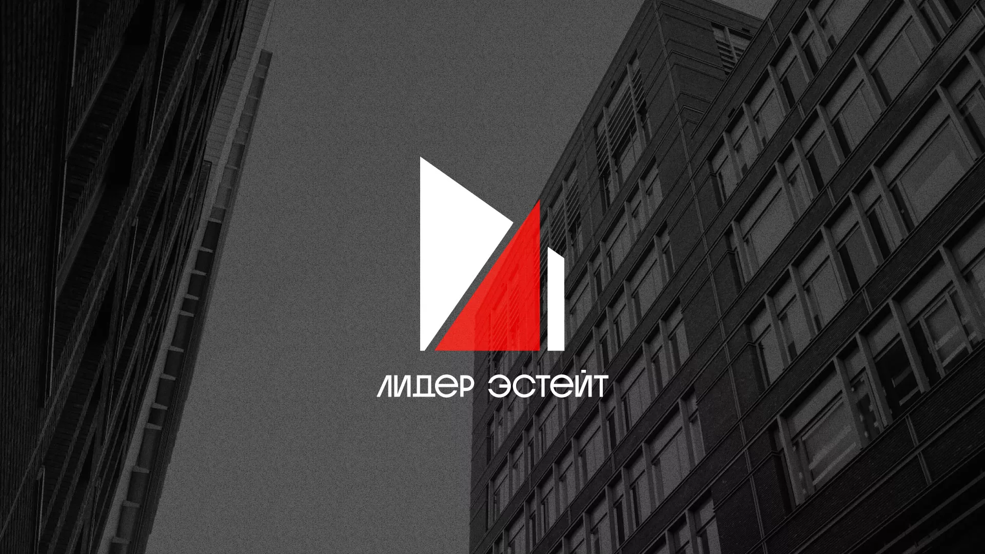 Сделали логотип для агентства недвижимости «Лидер Эстейт» в Кирове